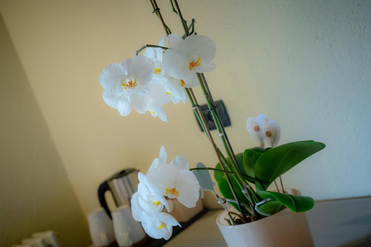 Villamour Boutique Hotel & Spa Ла-Саль Экстерьер фото